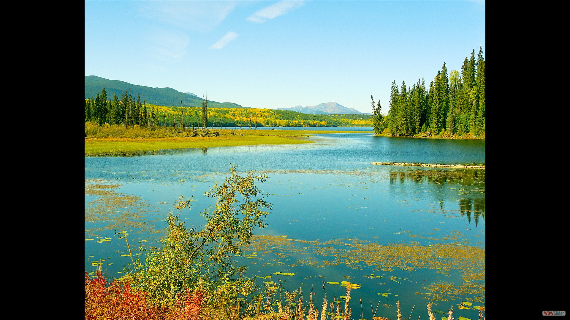 Chapman Lake March