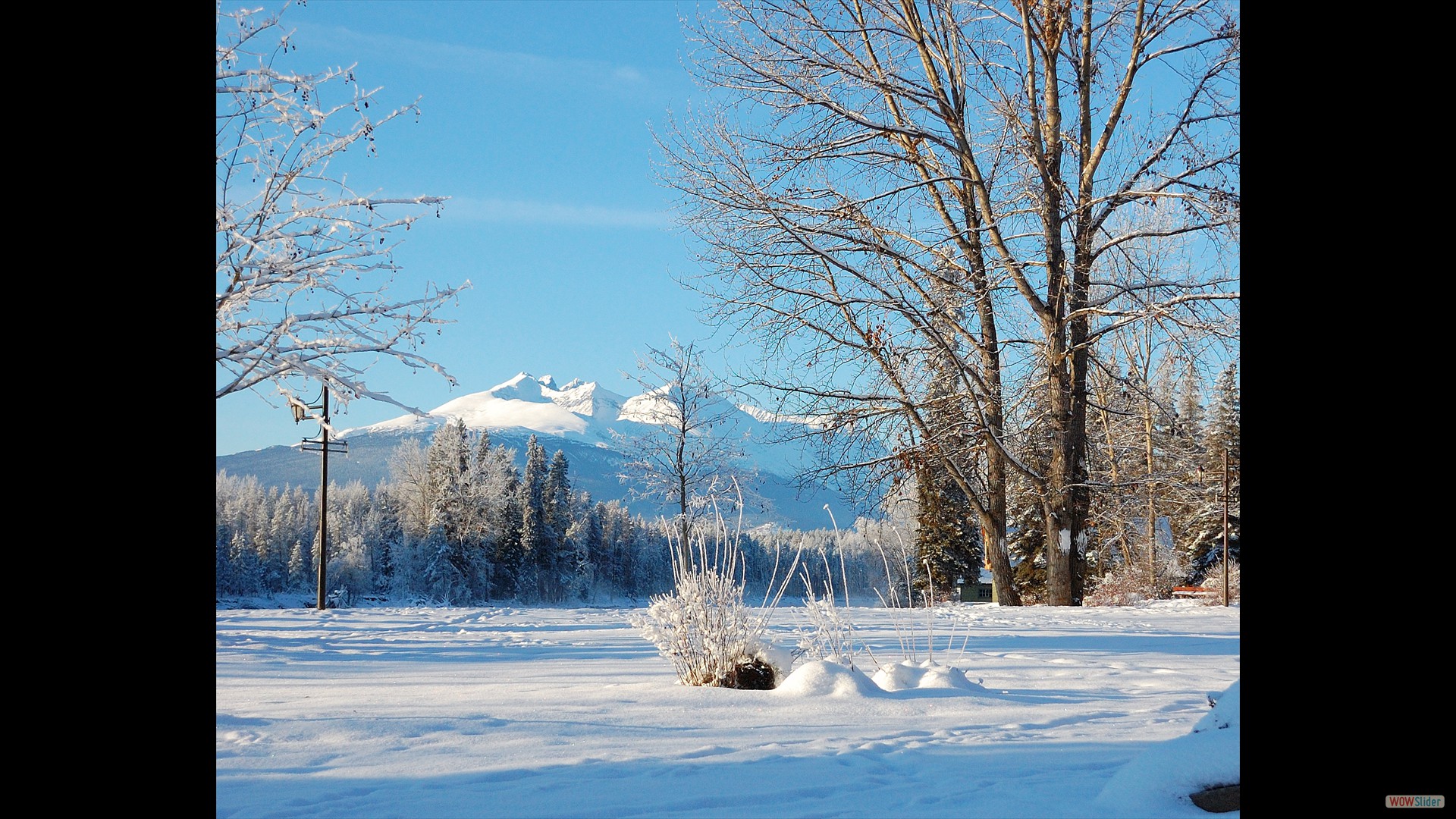 Eddy Park January