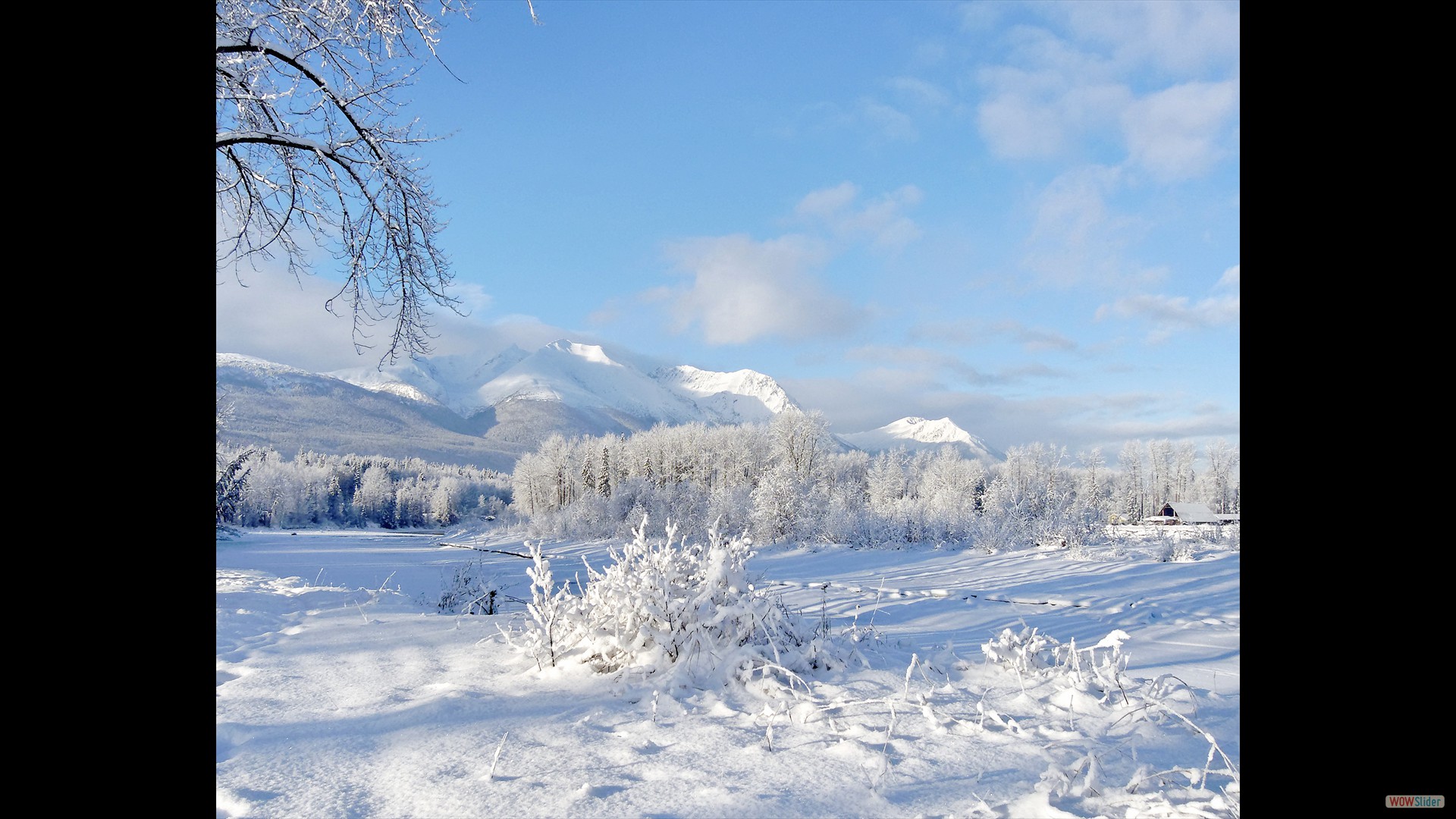 Frosen river February