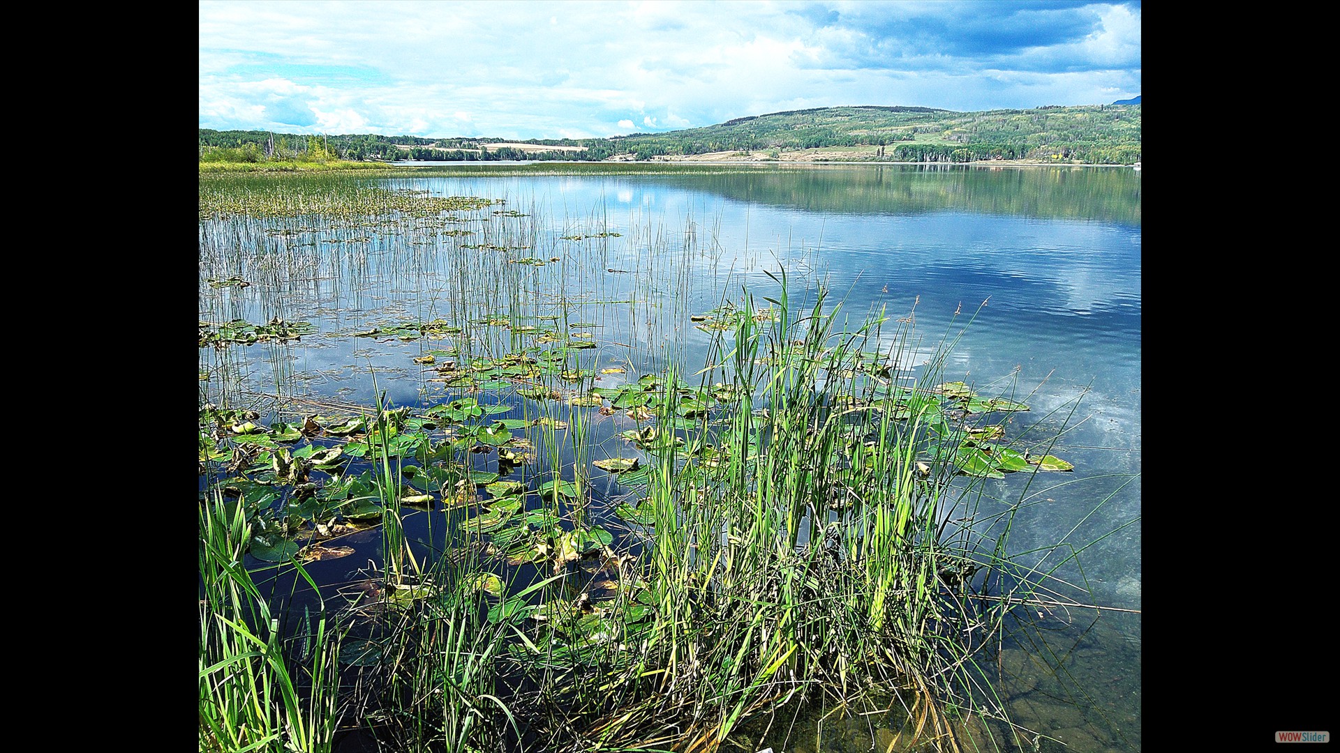 Tyee Lake July