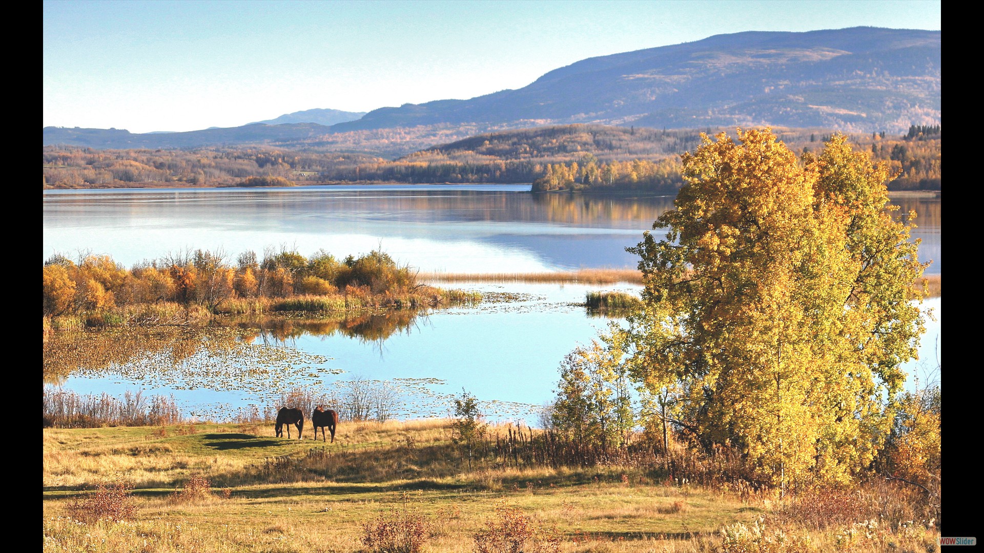 Tyee Lake October_DxO